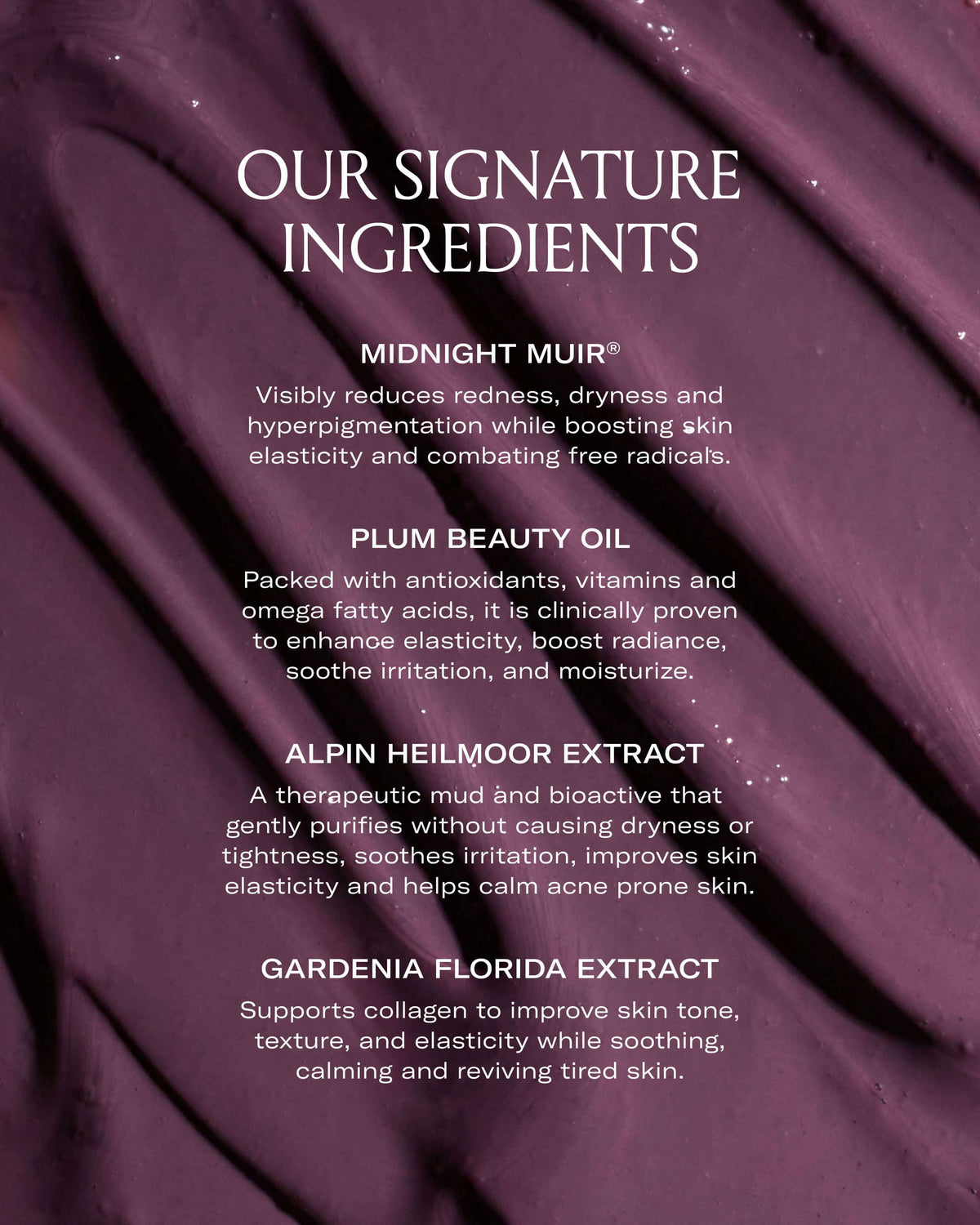 Plumtox Clarifying Enzyme Mask