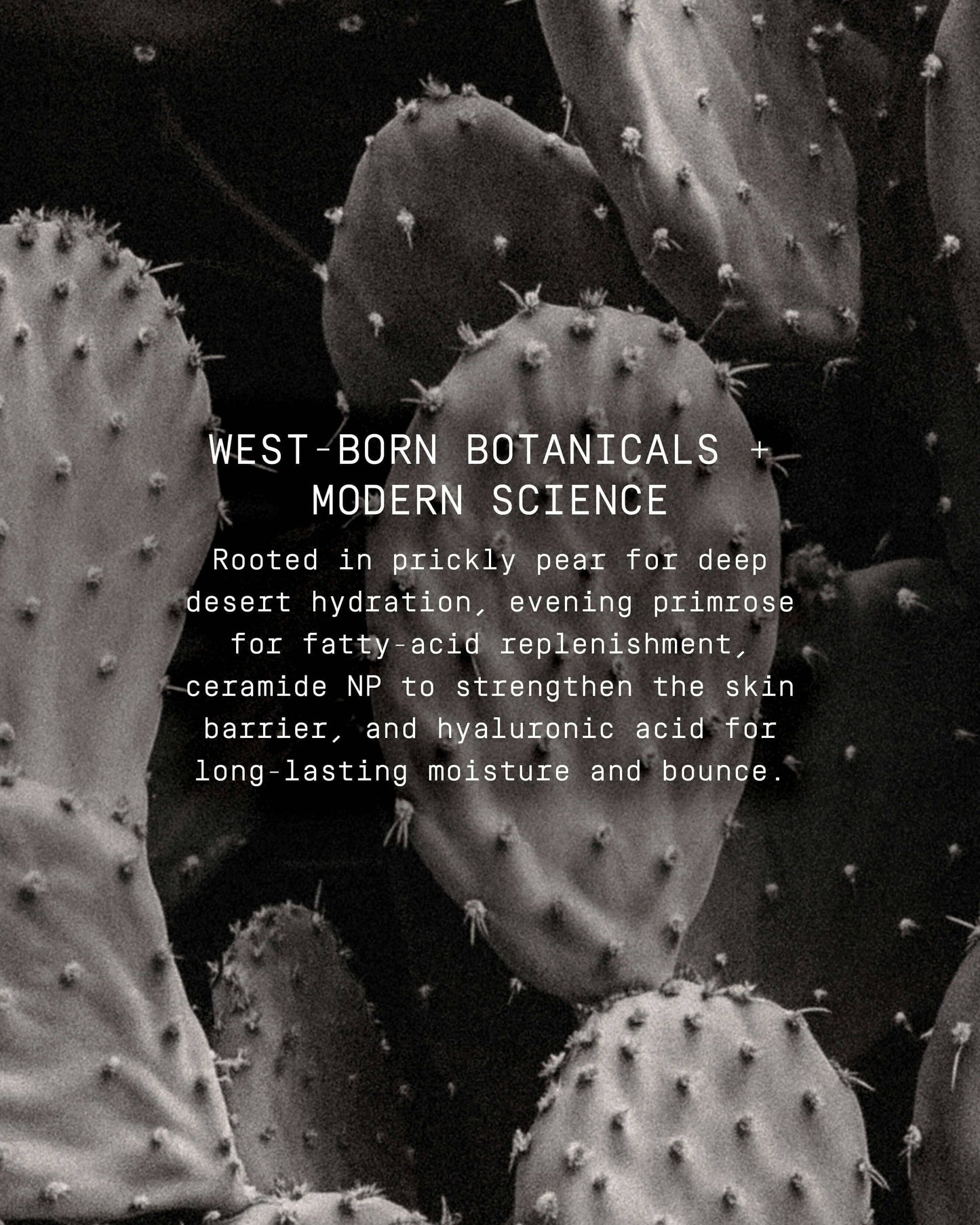 Cactus Silk Prickly Pear Barrier-Boosting Oil + Serum Skin Finish