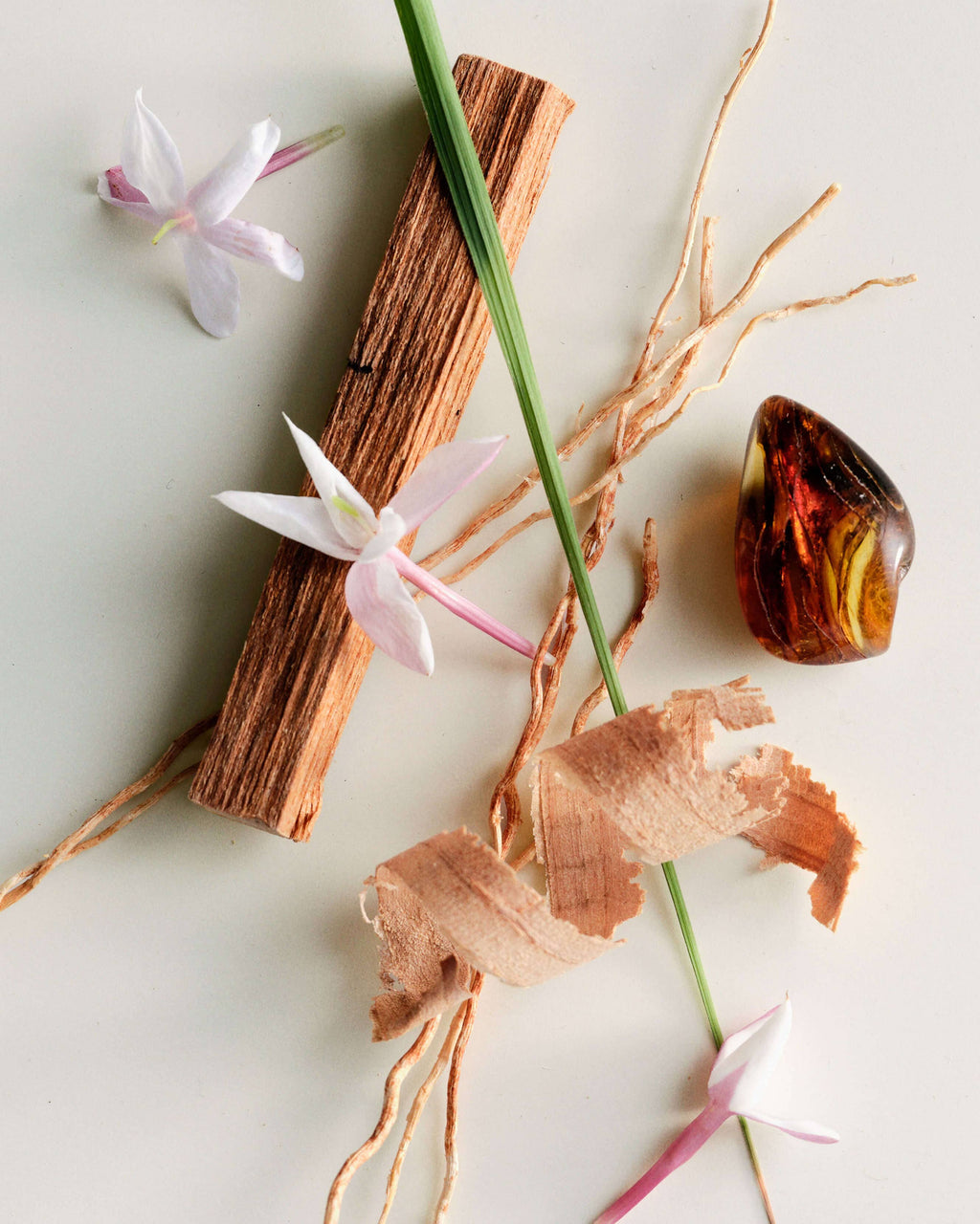 Huile de Parfum n°04 Bois de Balincourt