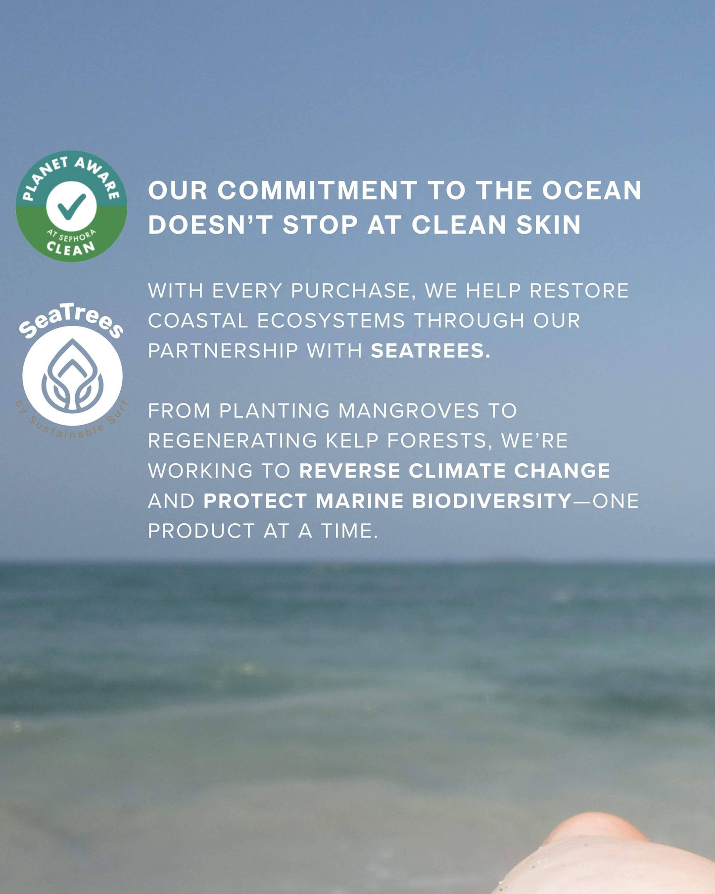 Sea the Glow Discovery Kit