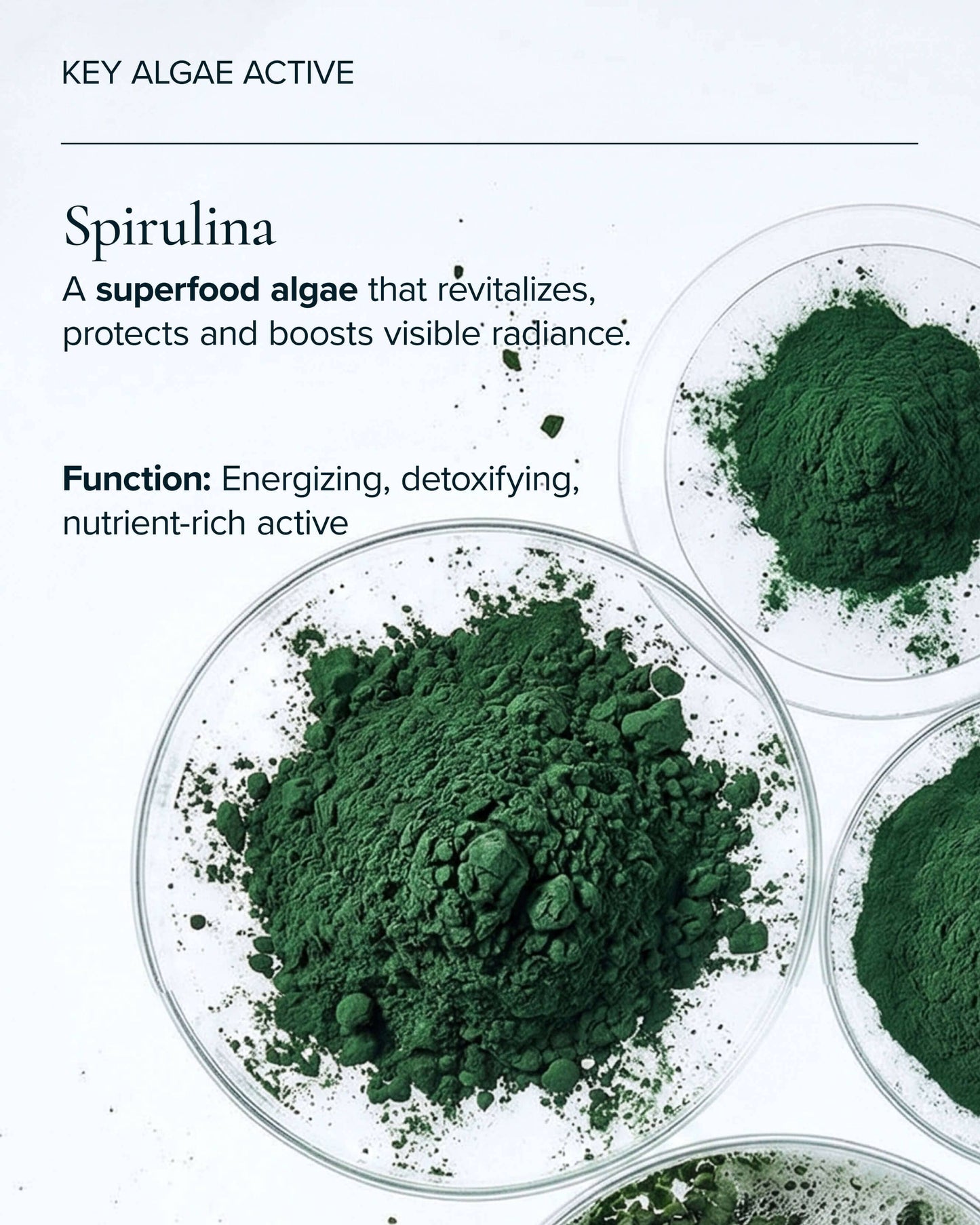 Algae Enzyme Cleansing Oil Makeup Remover with Chia + Moringa
