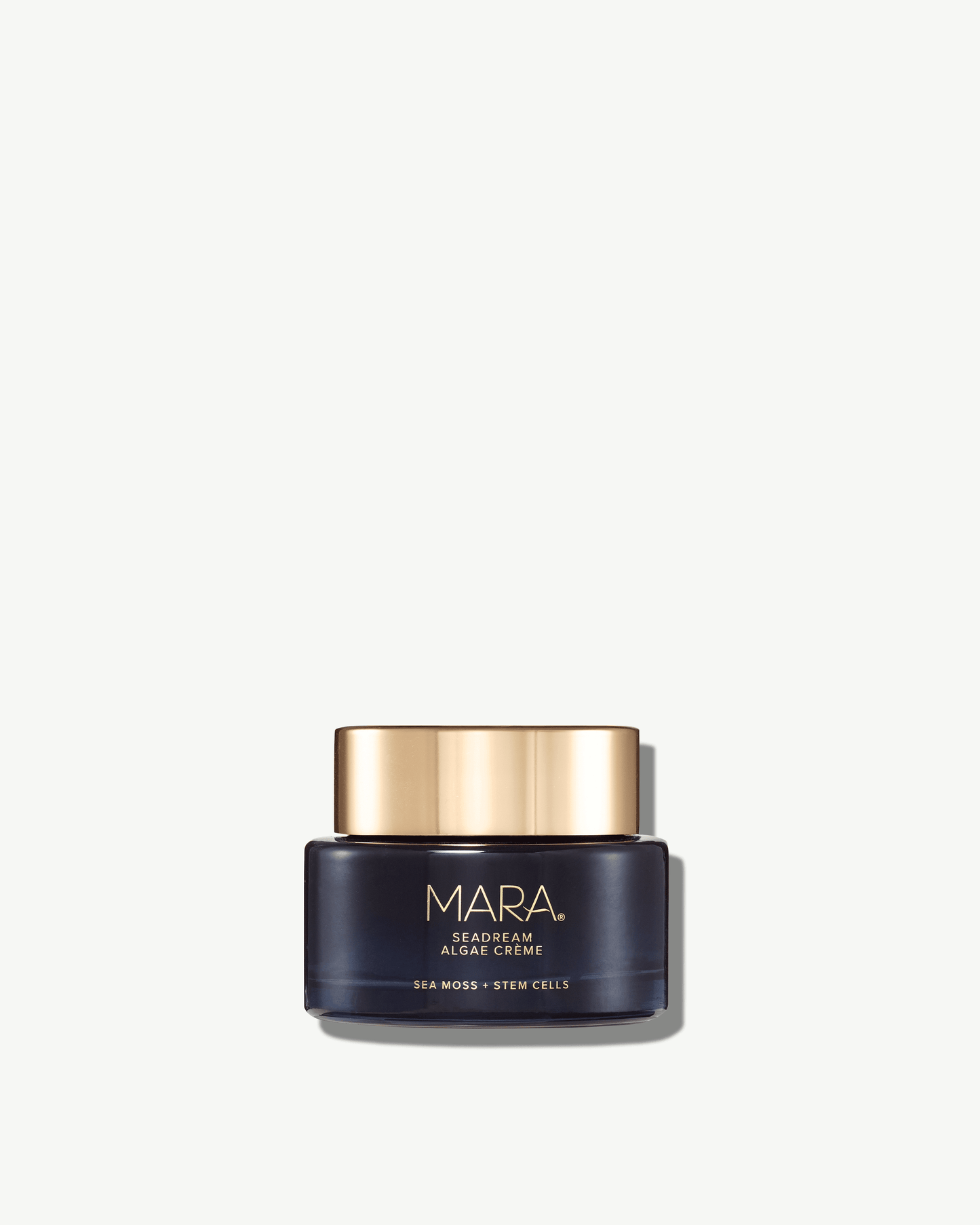 SeaDream Algae Creme Moisturizer for Firming & Tightening with Sea Moss + Peptides