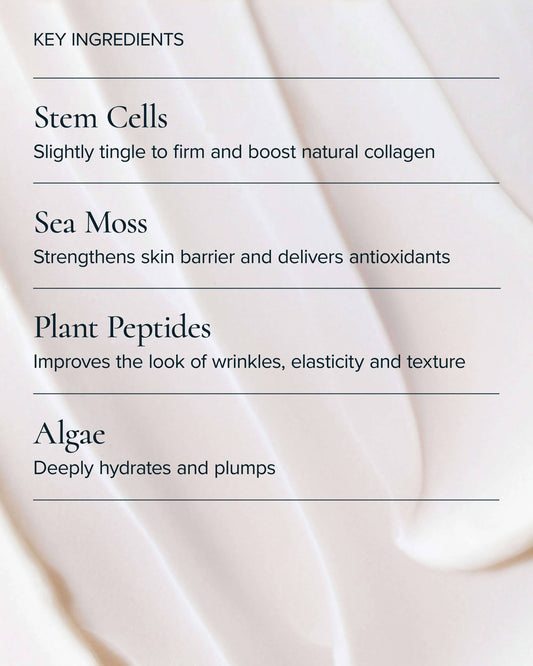 SeaDream Algae Creme Moisturizer for Firming & Tightening with Sea Moss + Peptides