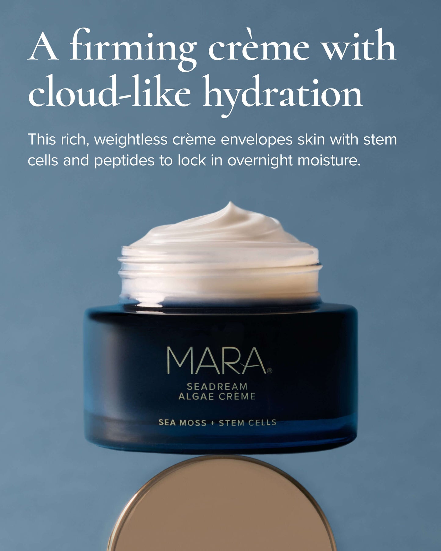 SeaDream Algae Creme Moisturizer for Firming & Tightening with Sea Moss + Peptides