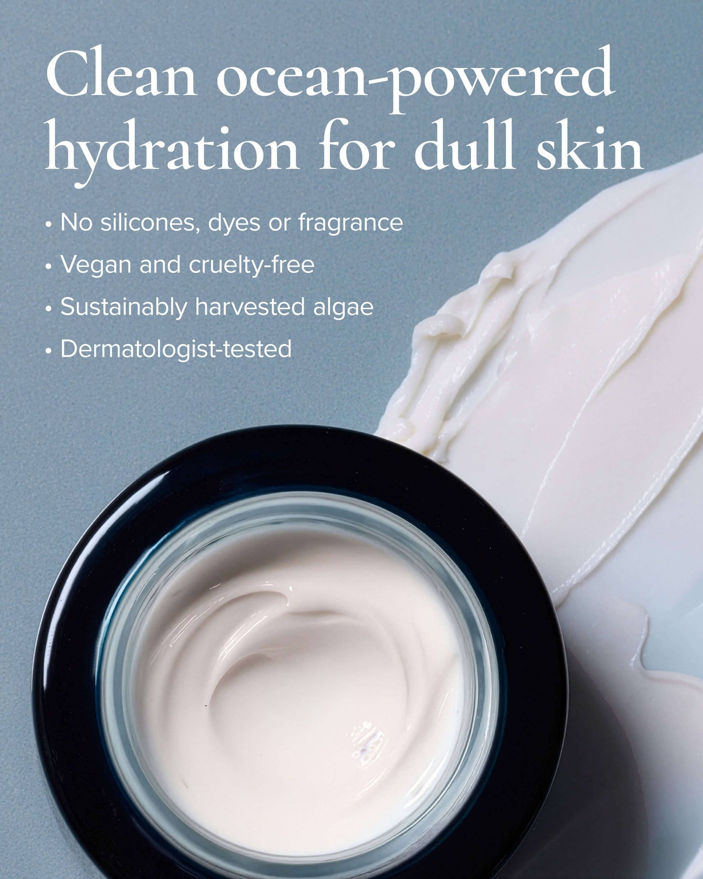 SeaDream Algae Creme Moisturizer for Firming & Tightening with Sea Moss + Peptides