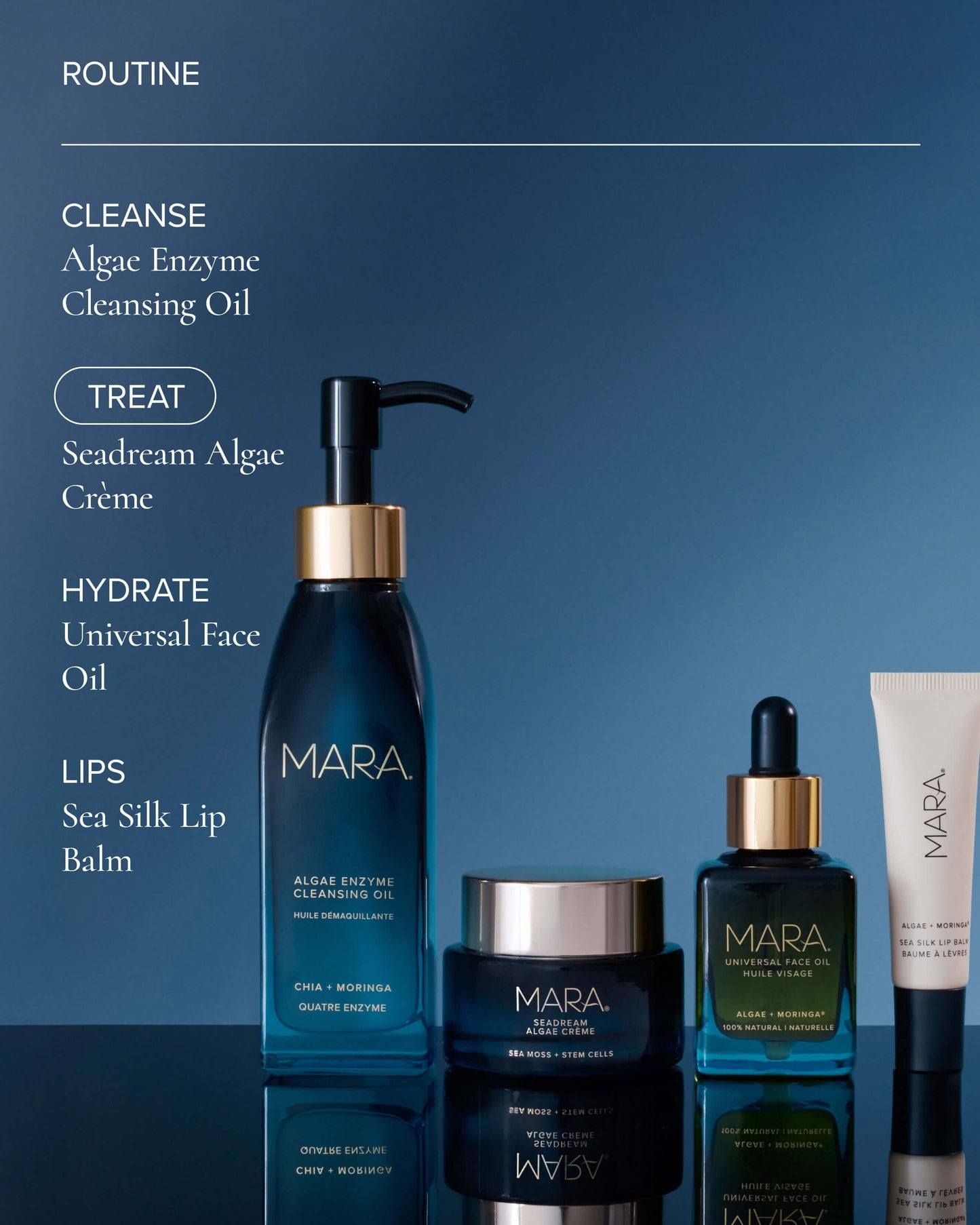 SeaDream Algae Creme Moisturizer for Firming & Tightening with Sea Moss + Peptides
