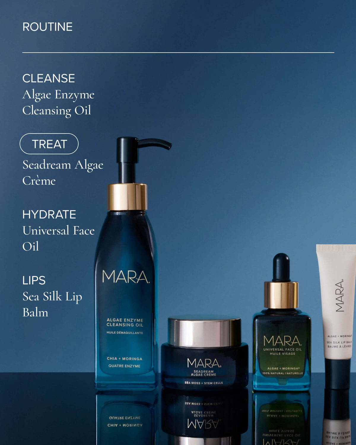 Crème Hydratante Raffermissante & Liftante SeaDream Algae à la Mousse de Mer + Peptides