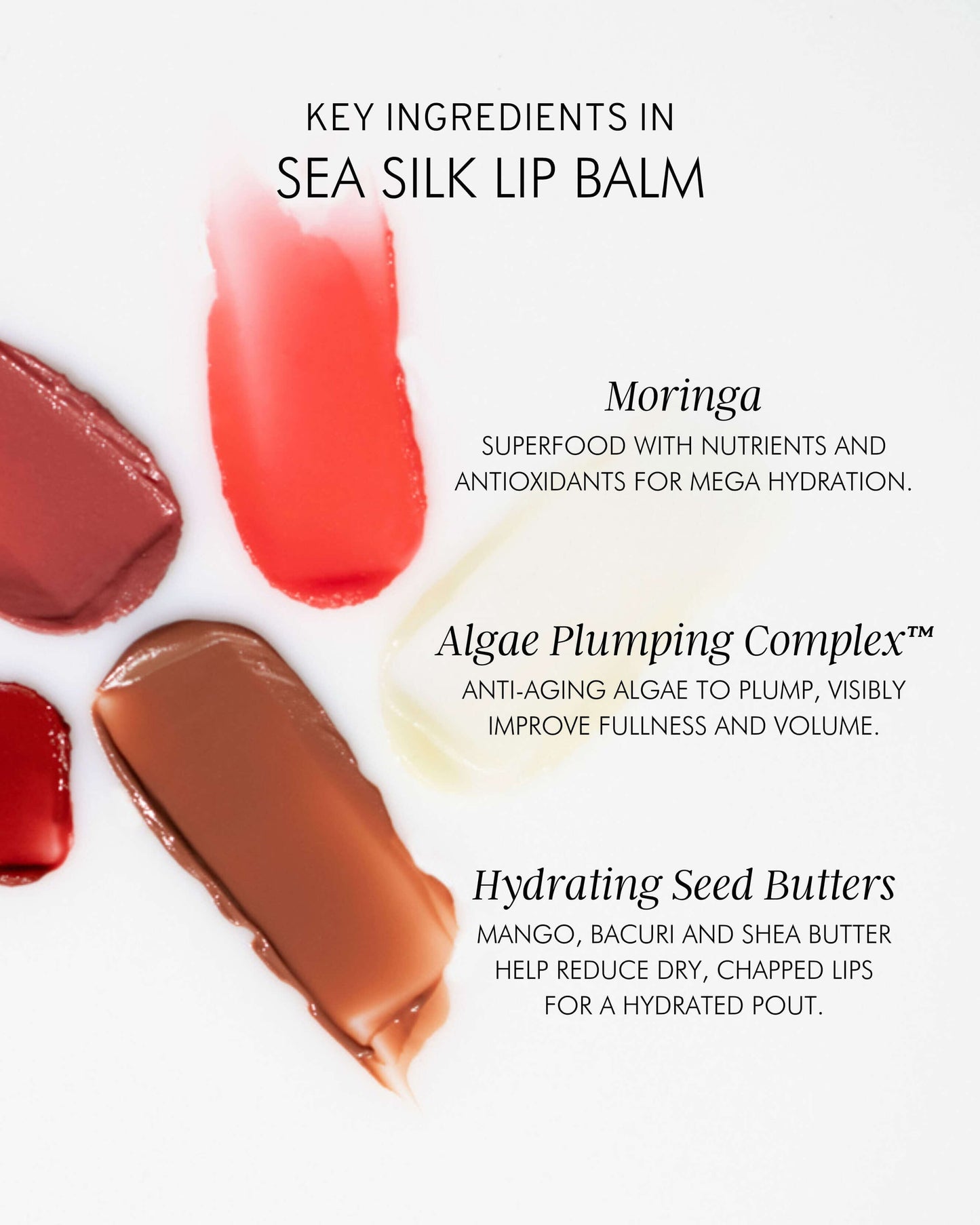 Hydrating Sea Silk Lip Balm Treatment for Anti-Aging and Lip Wrinkles