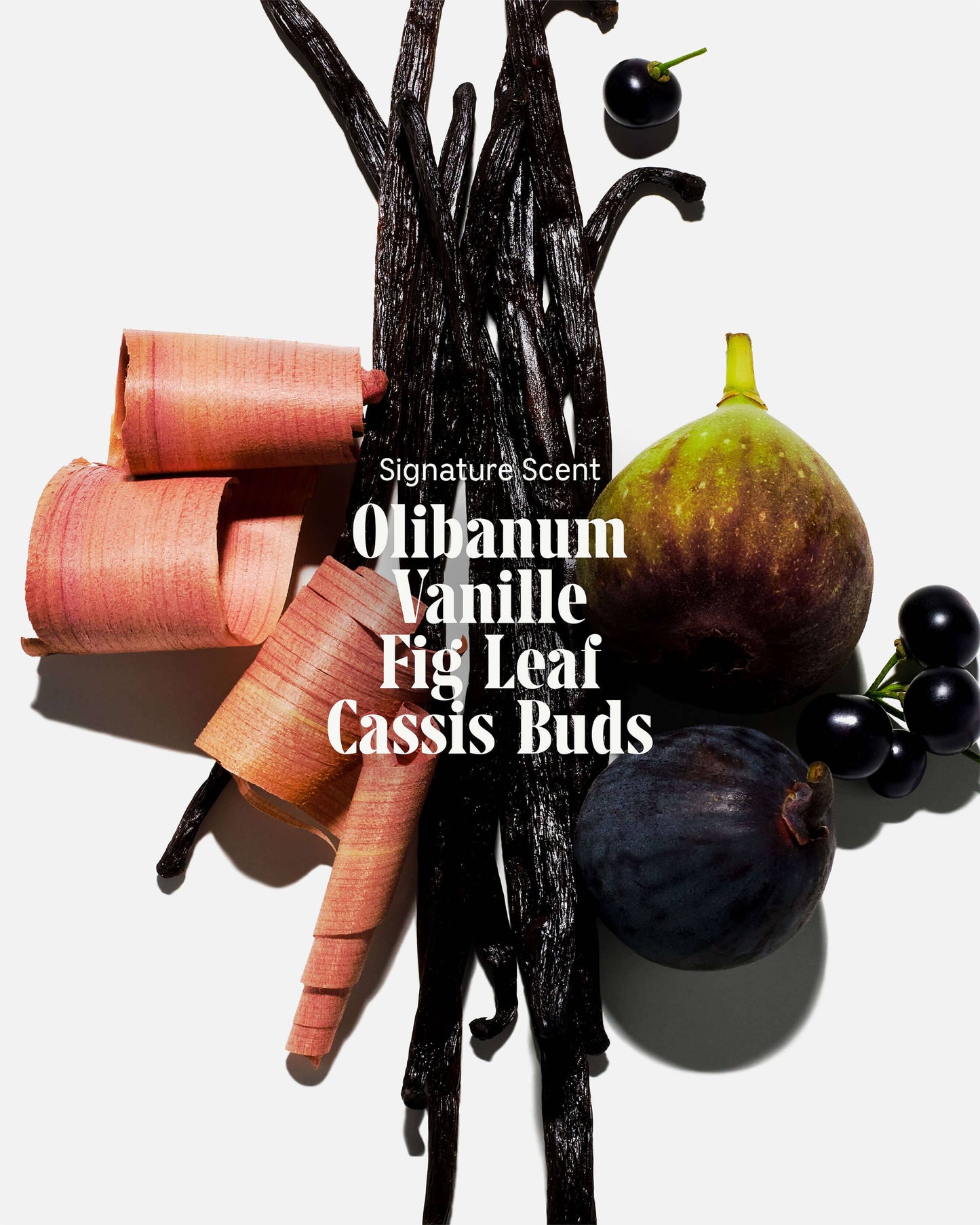 The Body Wash Olibanum