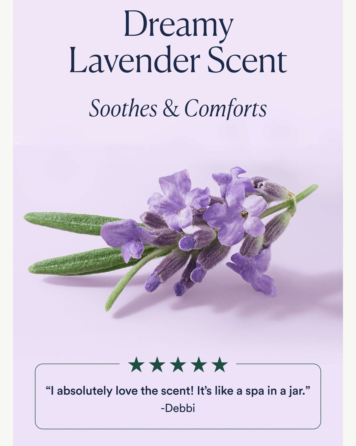 Salts of the Earth Body Scrub