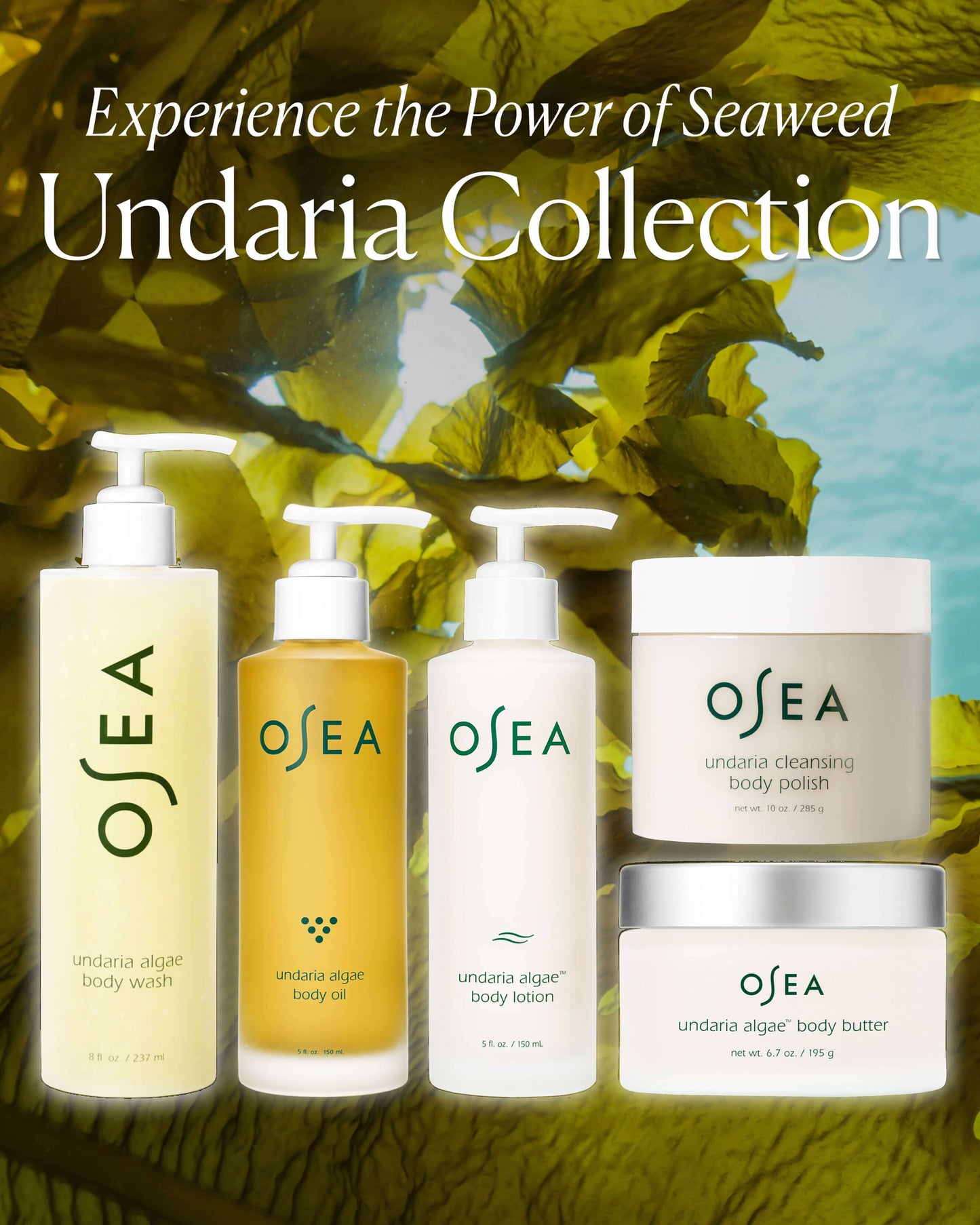 Undaria Cleansing Body Polish