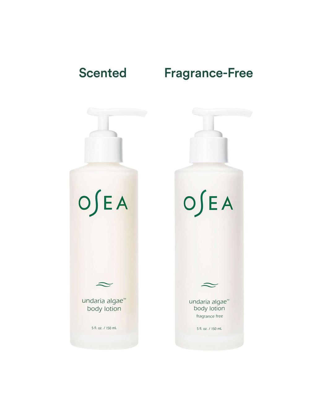 Undaria Algae Body Lotion Fragrance Free