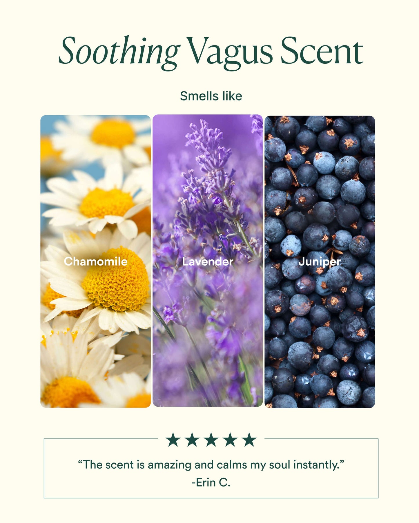 Vagus Nerve Bath Oil