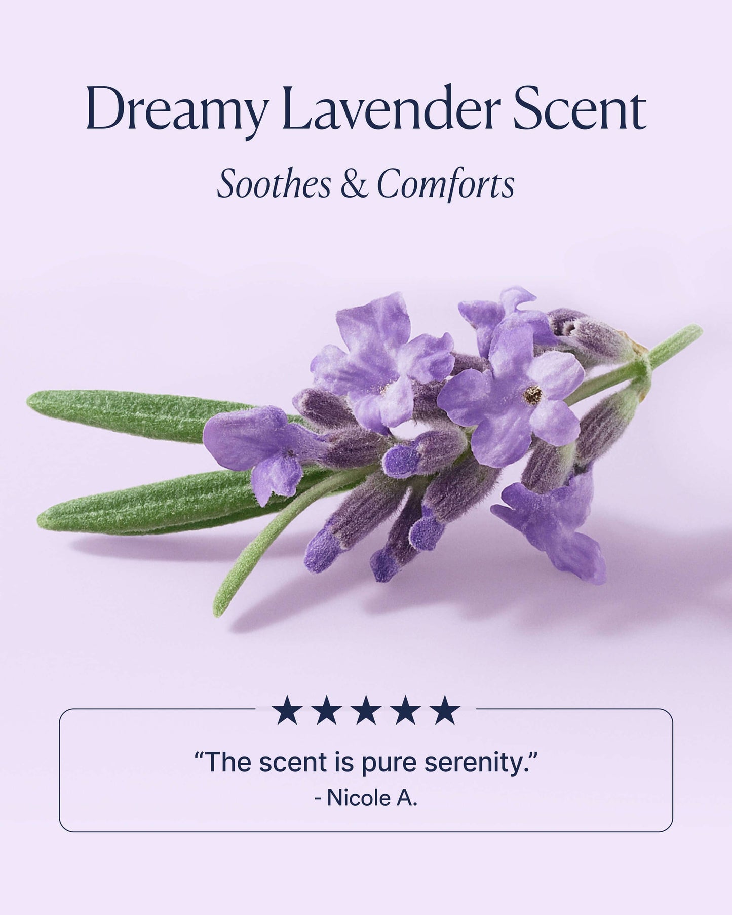 Dream Bio-Retinol Body Serum