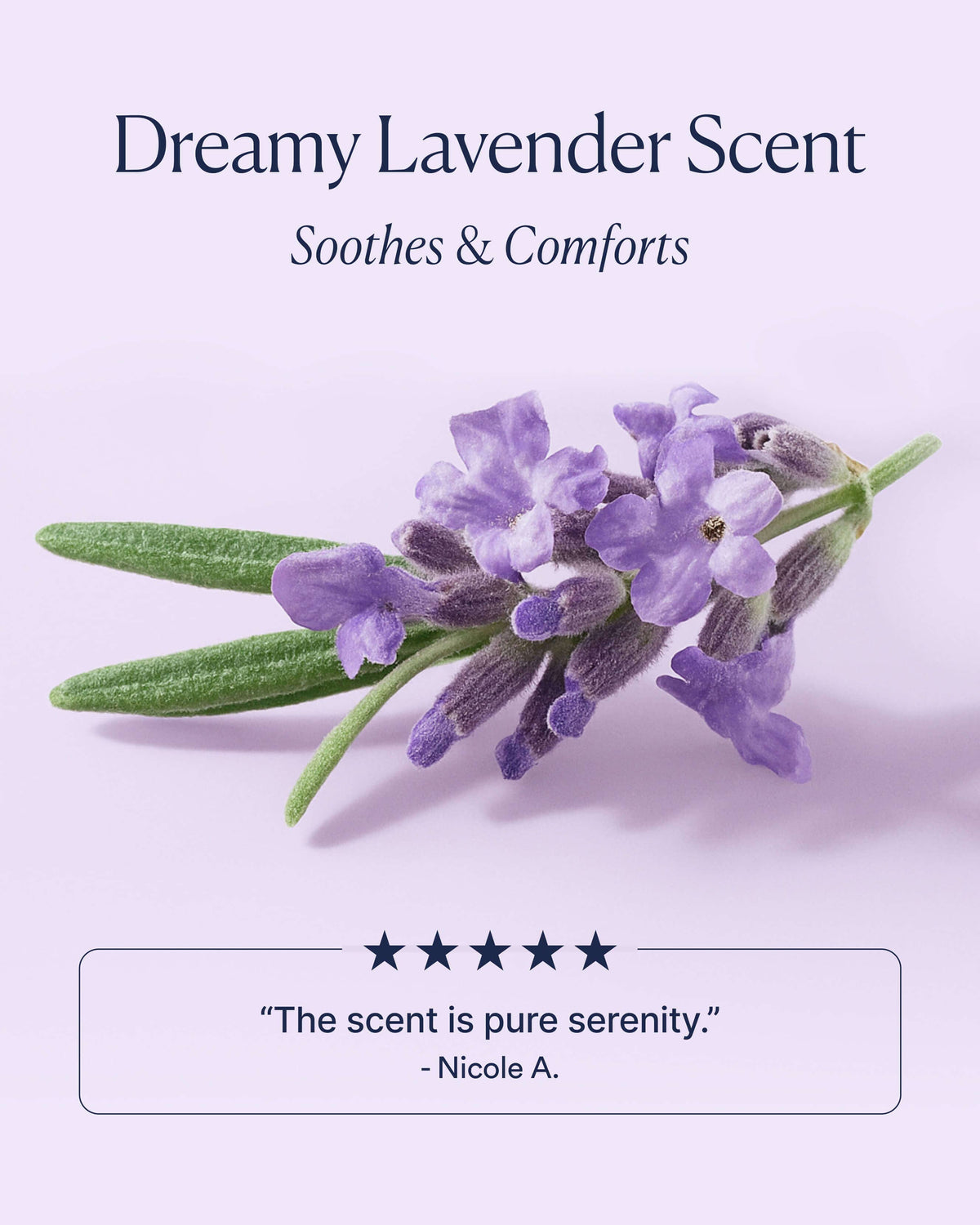 Dream Bio-Retinol Body Serum