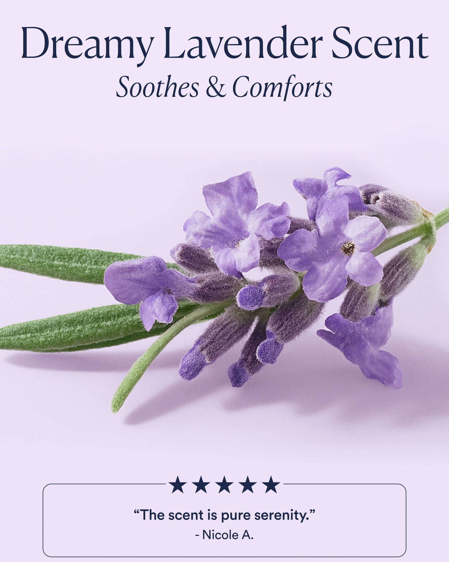 Dream Night Serum with Bio-Retinol