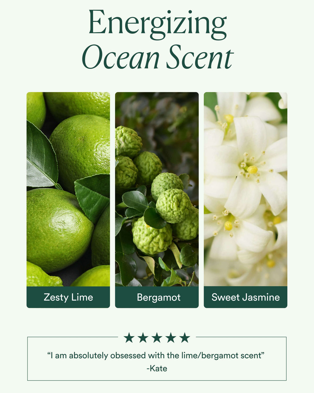 Ocean Cleanser