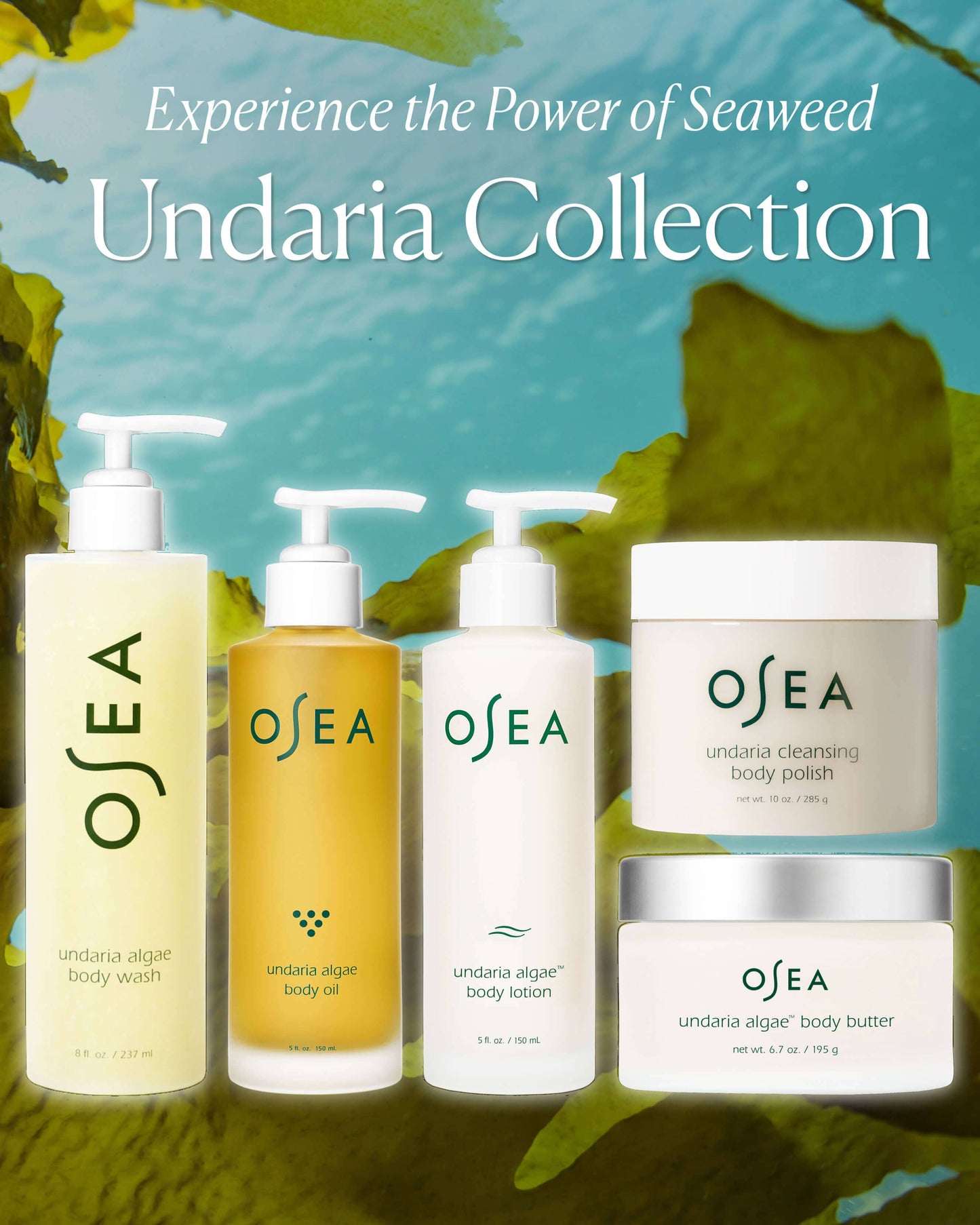 Undaria Algae Body Butter