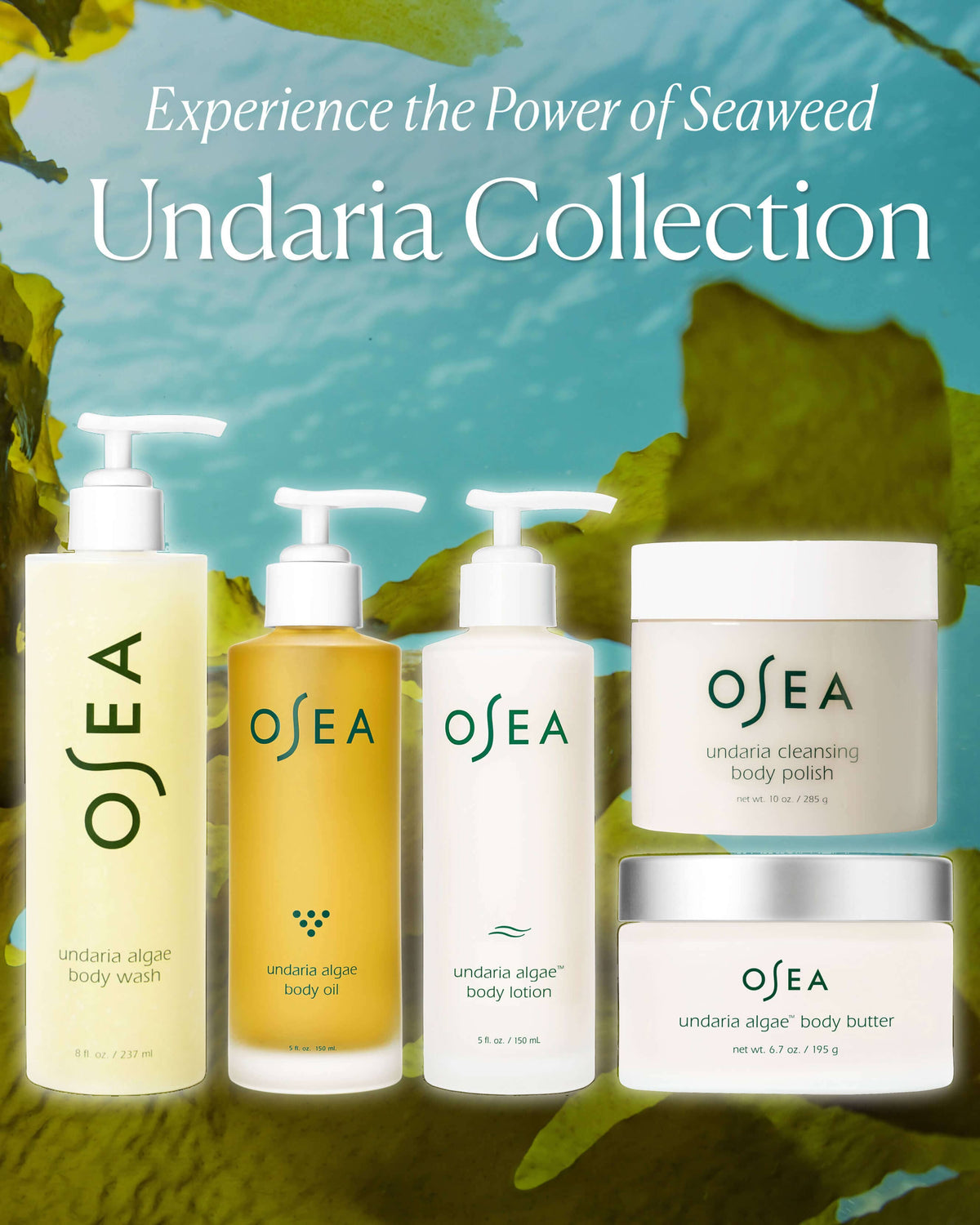 Undaria Algae Body Butter