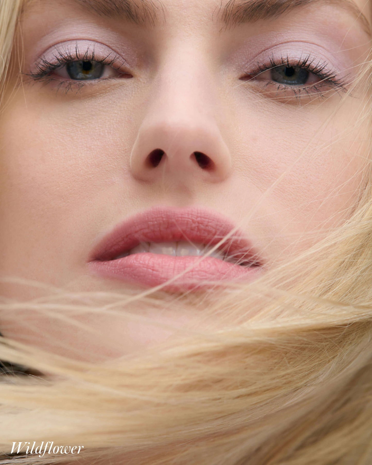 Cashmere Matte Eyelights
