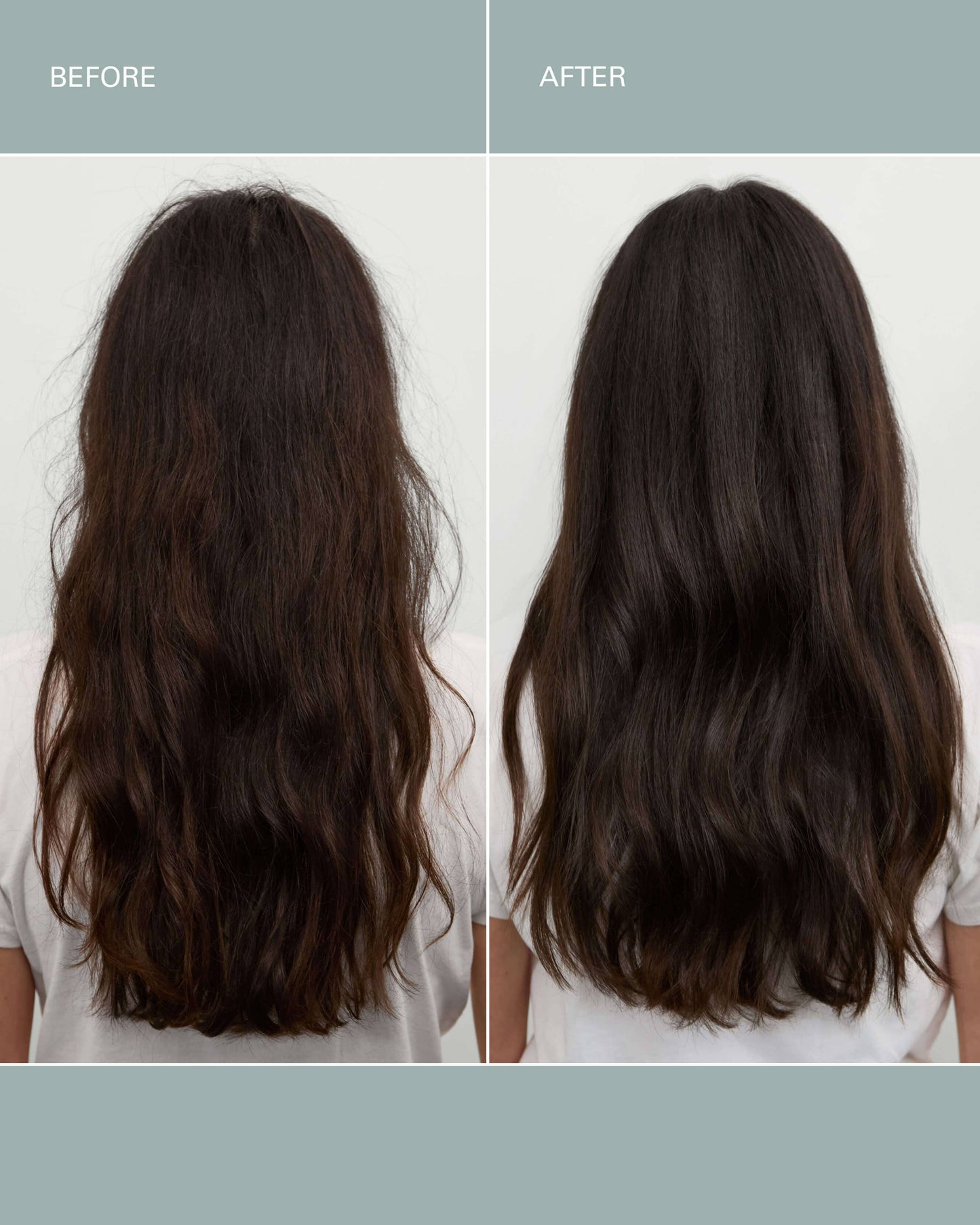 FOUNDATION Shampoo