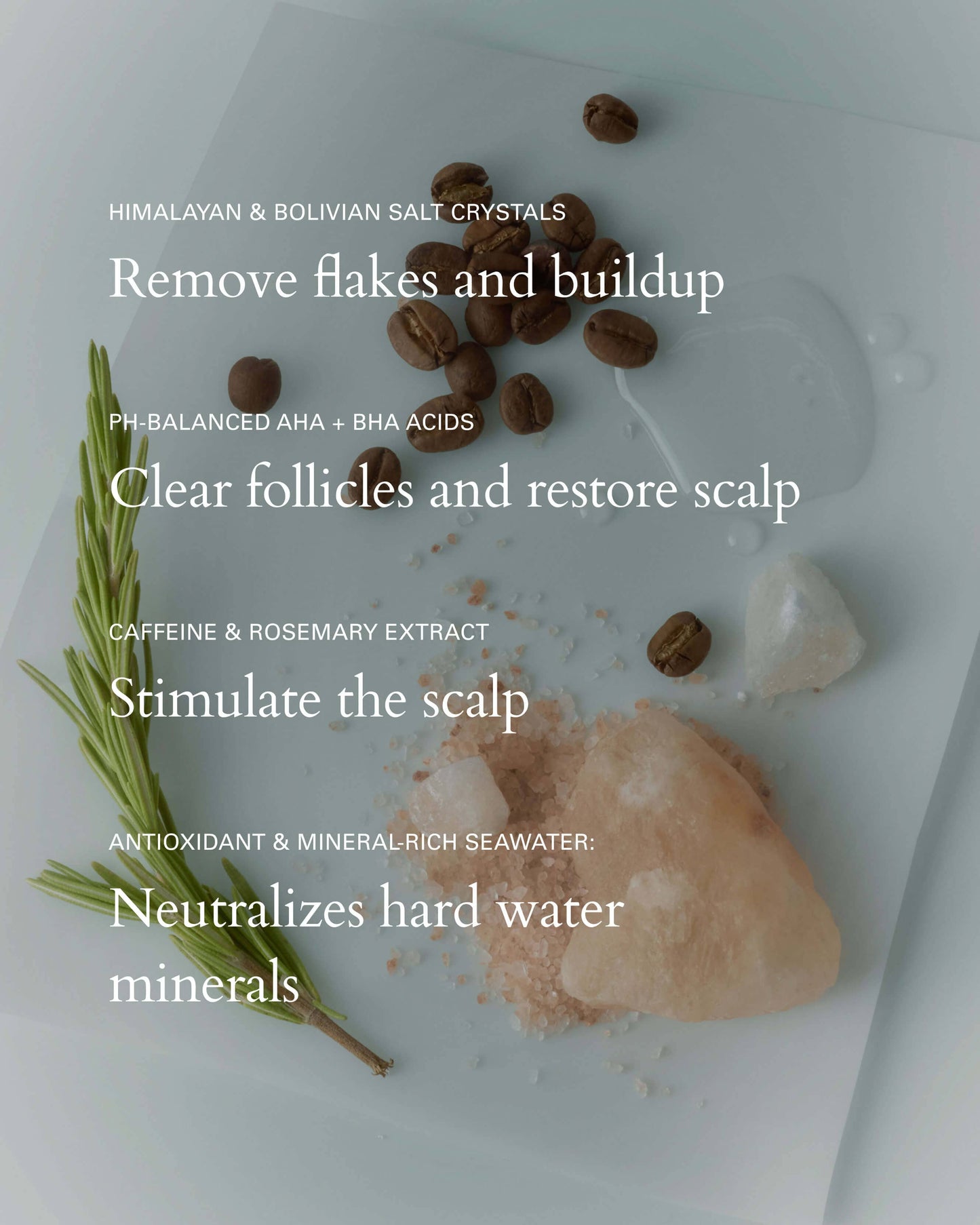 Salt Scalp Scrub