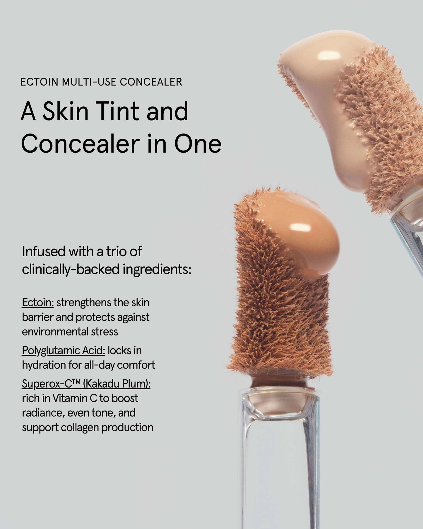 Ectoin Multi-Use Concealer