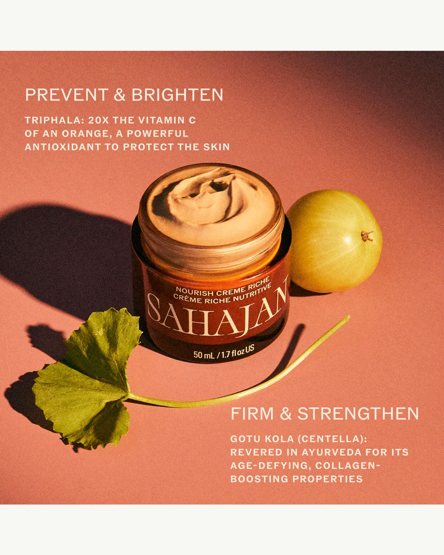 Nourish Crème Riche with Vitamin C + Centella