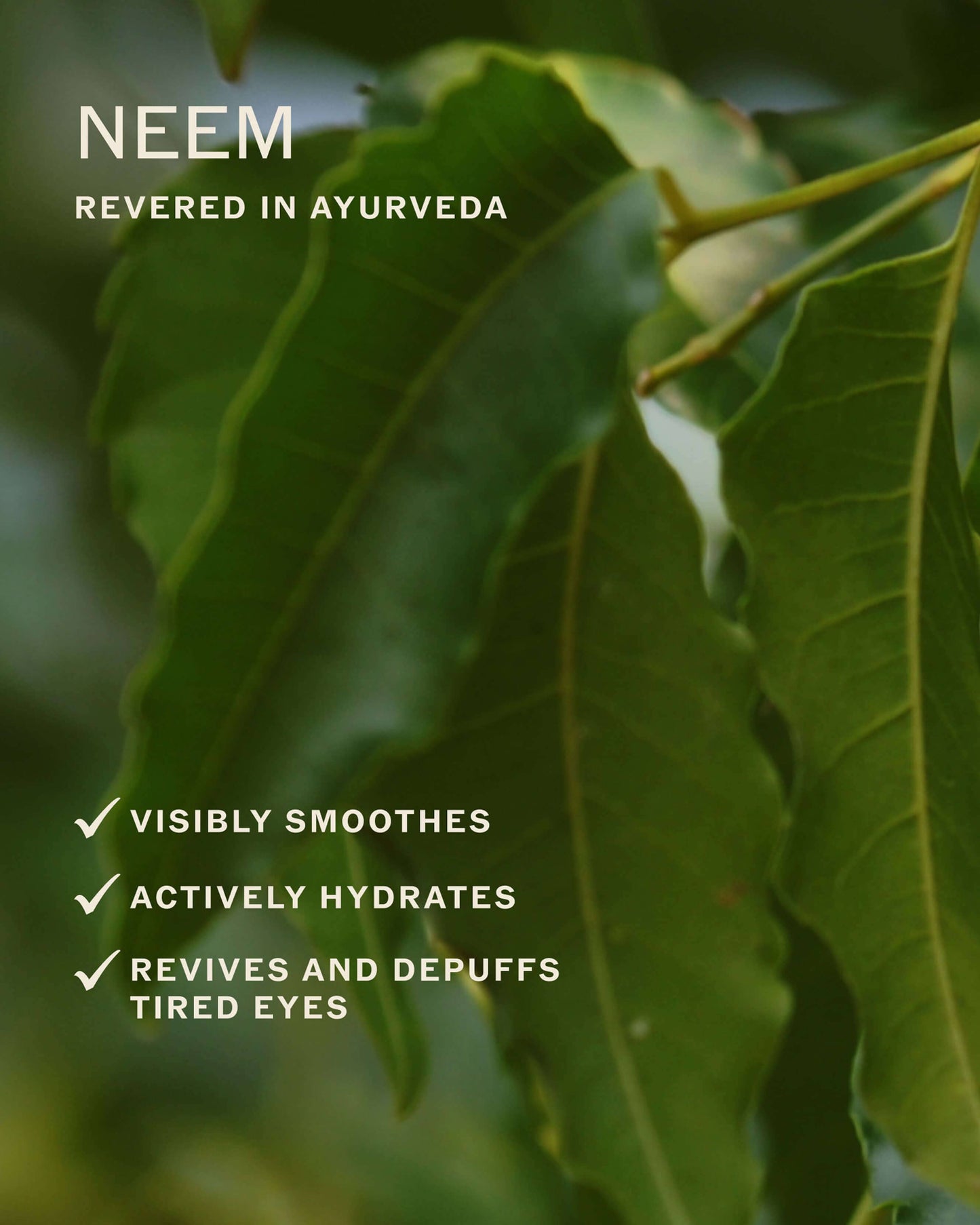 Radiance Eye Cream with Niacinamide, Vitamin C + Adaptogens