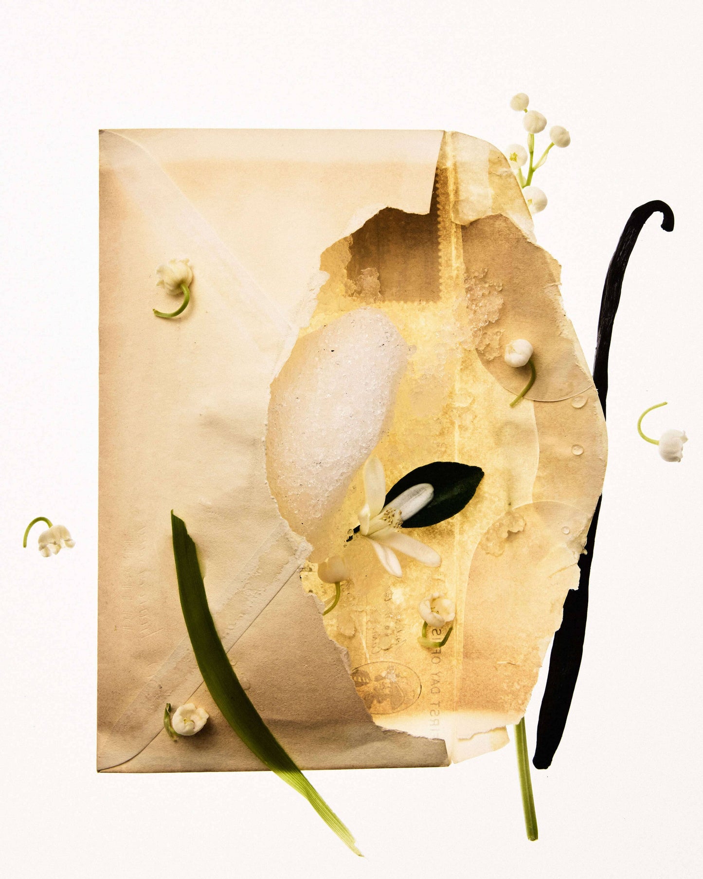 Frisson D'Hiver Eau de Parfum