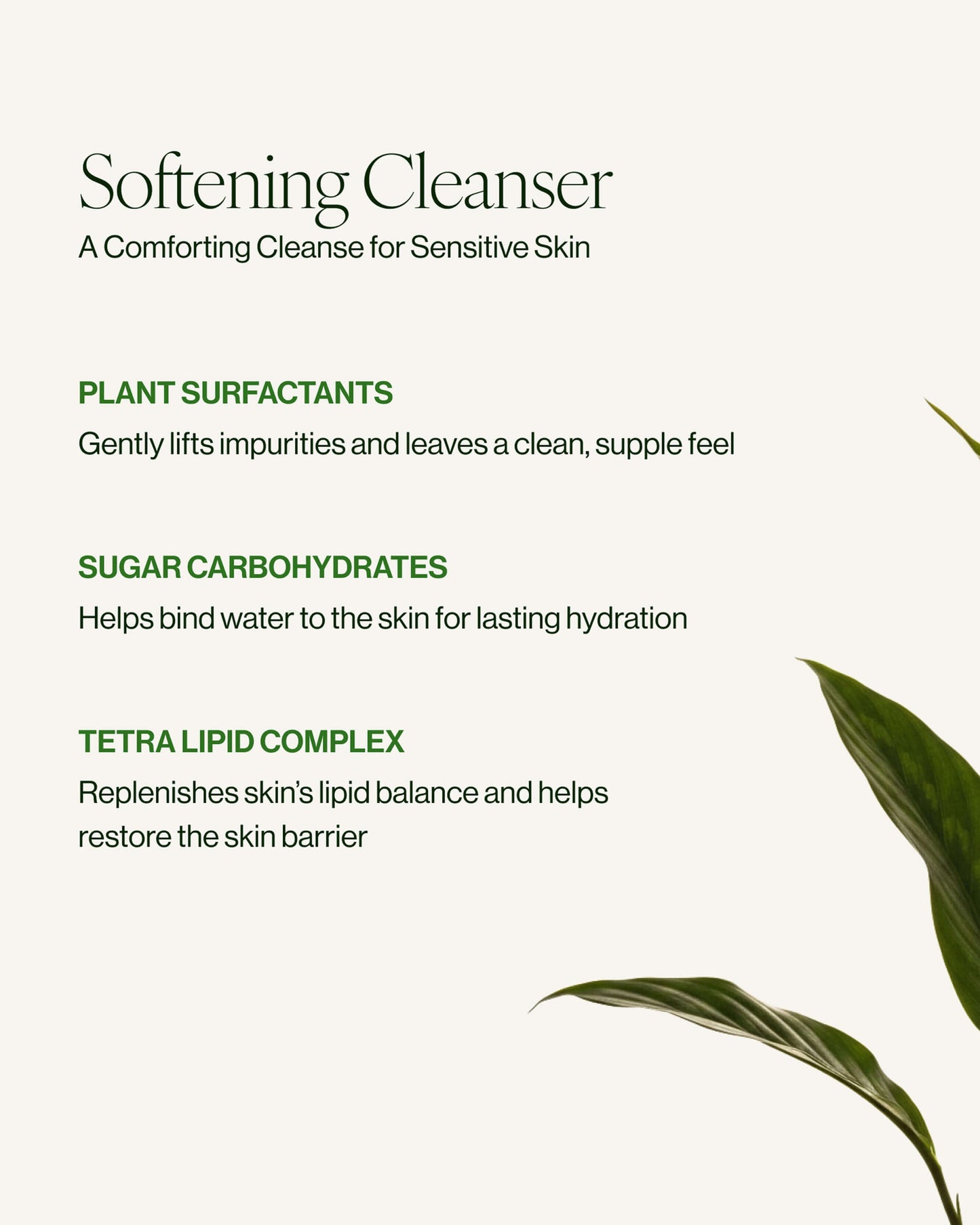SUPERKIND Softening Cleanser