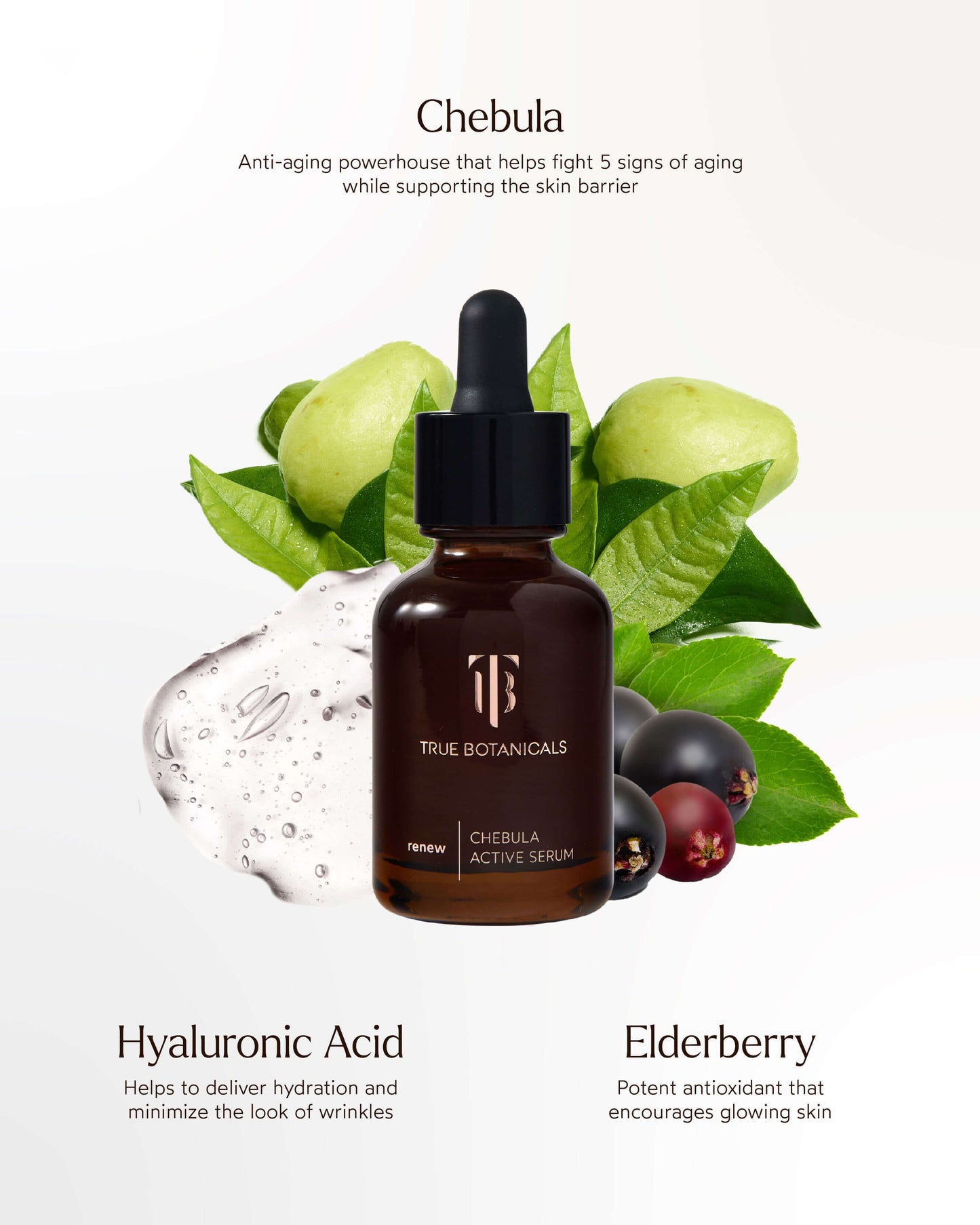 Chebula Active Anti-Aging Serum