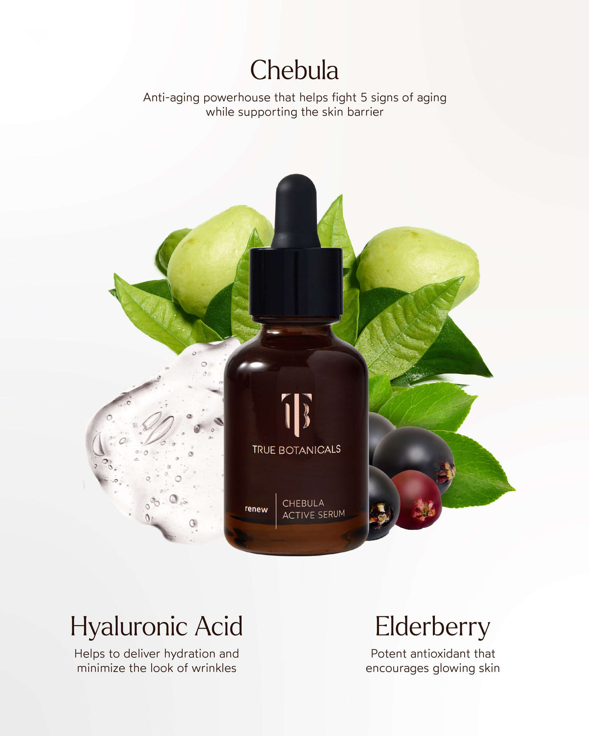 Chebula Active Anti-Aging Serum