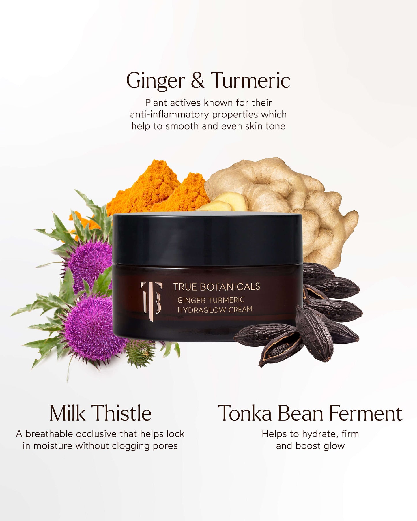 Ginger Turmeric HydraGlow Cream