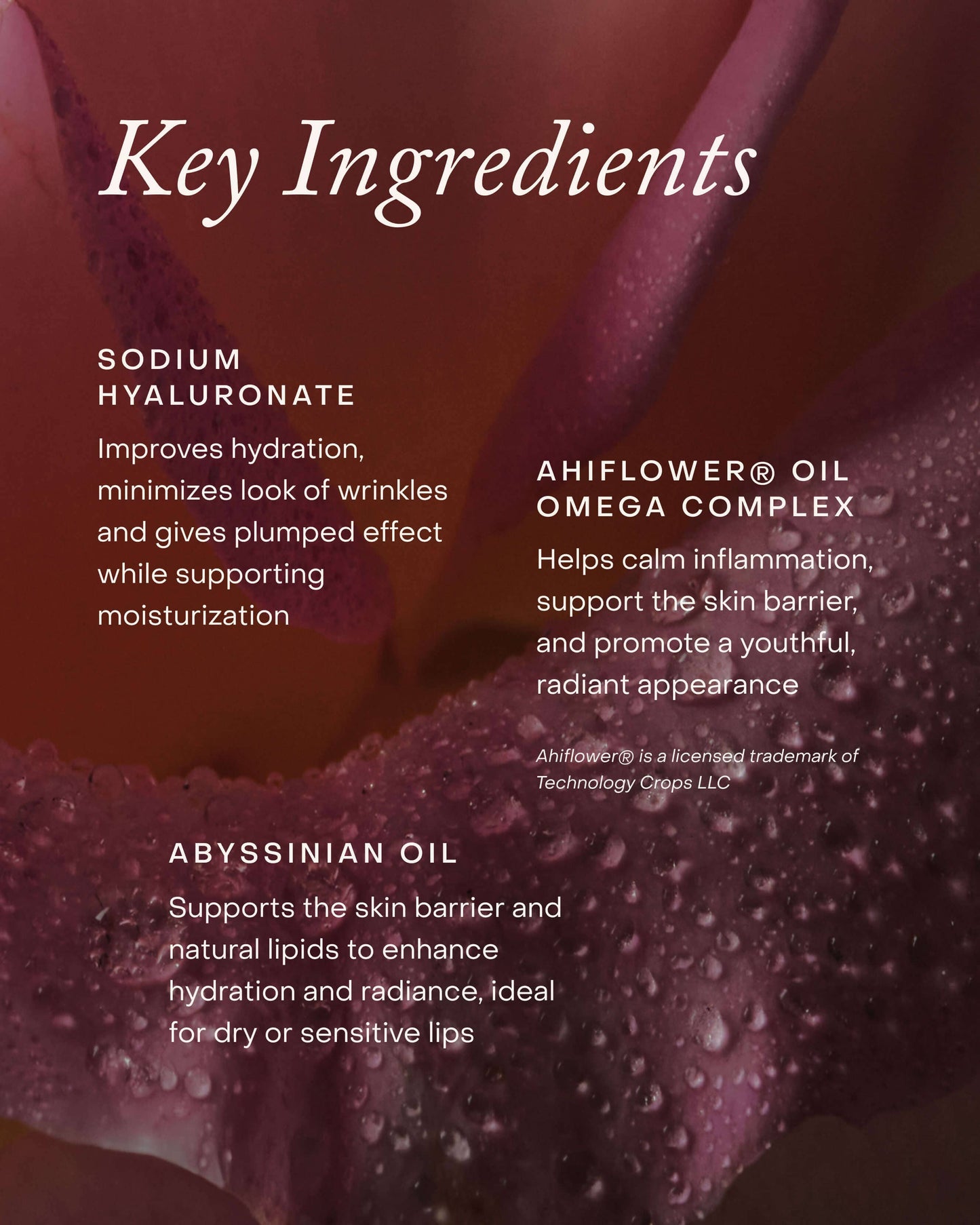 Lipid Lip Hydrating Glossy Oil