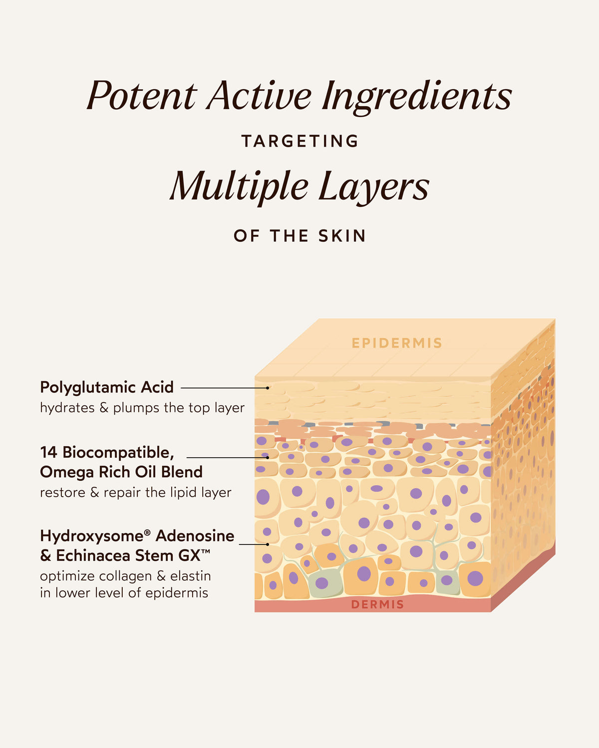 Crème Contour des Yeux Suprême Pure Radiance