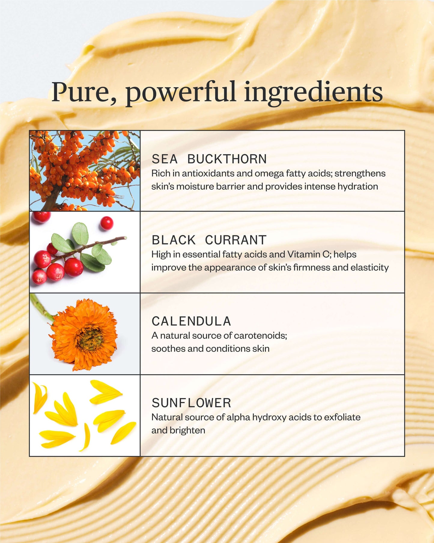 Golden Hour Recovery Cream Daily Face Moisturizer