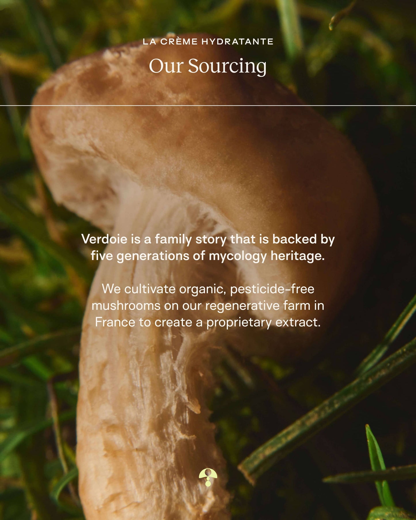 La Crème Hydratante – Beta-Glucan Mushroom Moisturizer