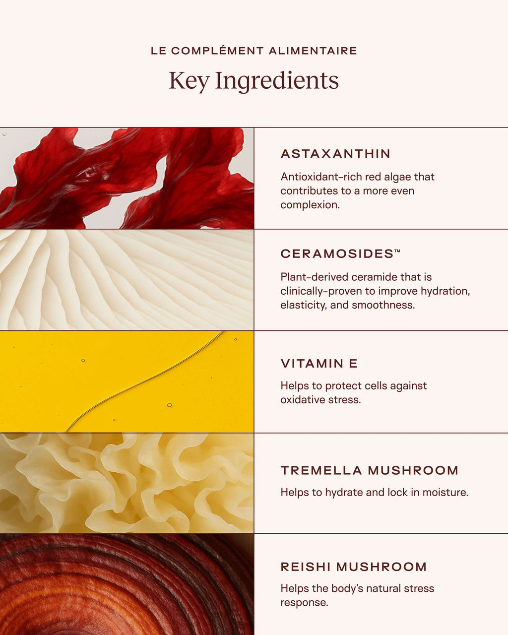 Le Complément Alimentaire – Ceramide-Rich Skin Supplement
