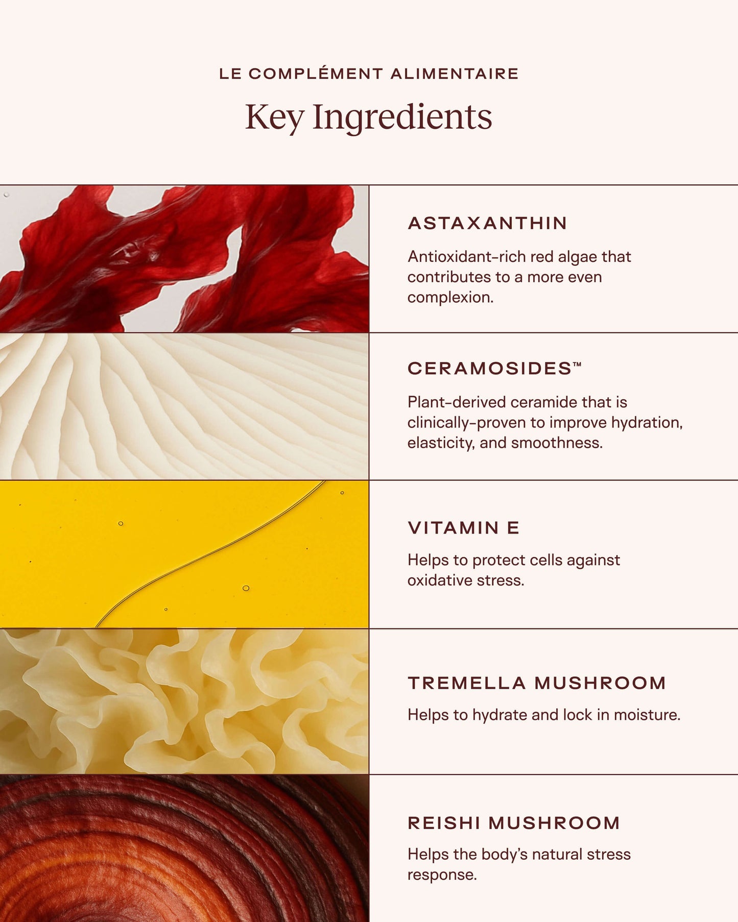 Le Complément Alimentaire – Ceramide-Rich Skin Supplement