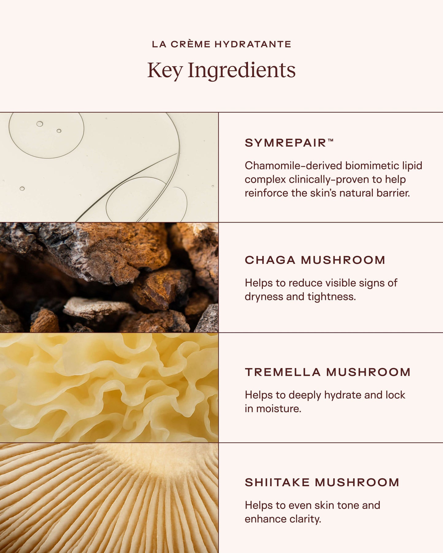 Le Shroom Stack™
