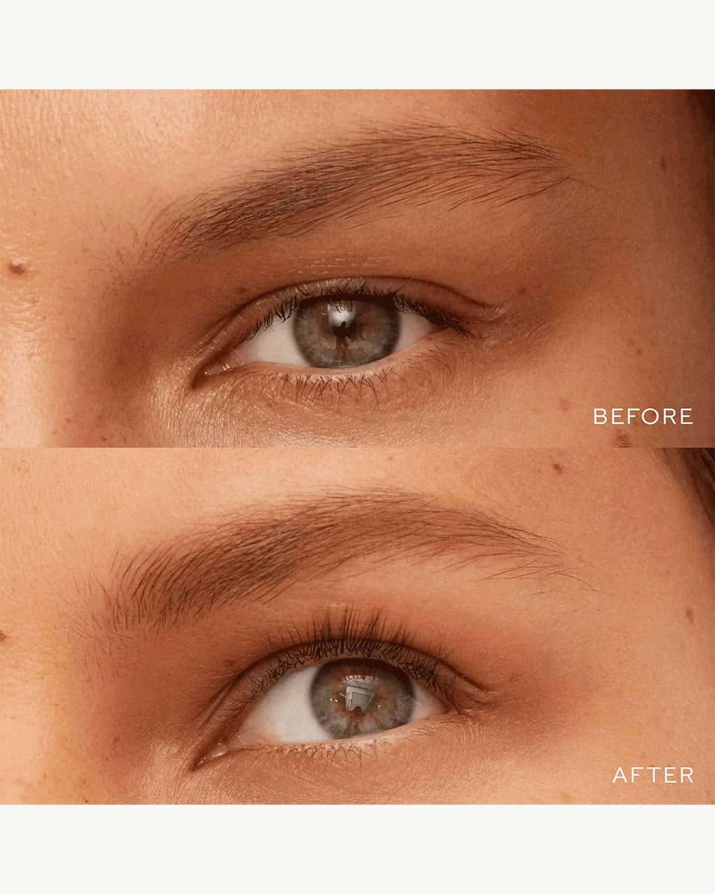 Crayon définisseur de sourcils Bonne