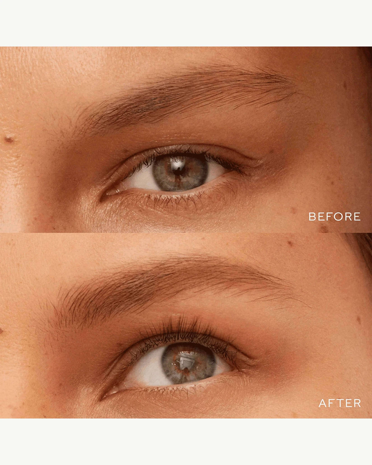 Crayon définisseur de sourcils Bonne