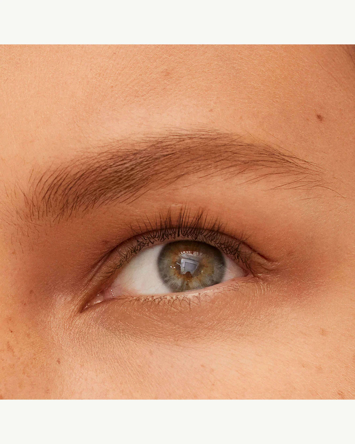 Crayon définisseur de sourcils Bonne