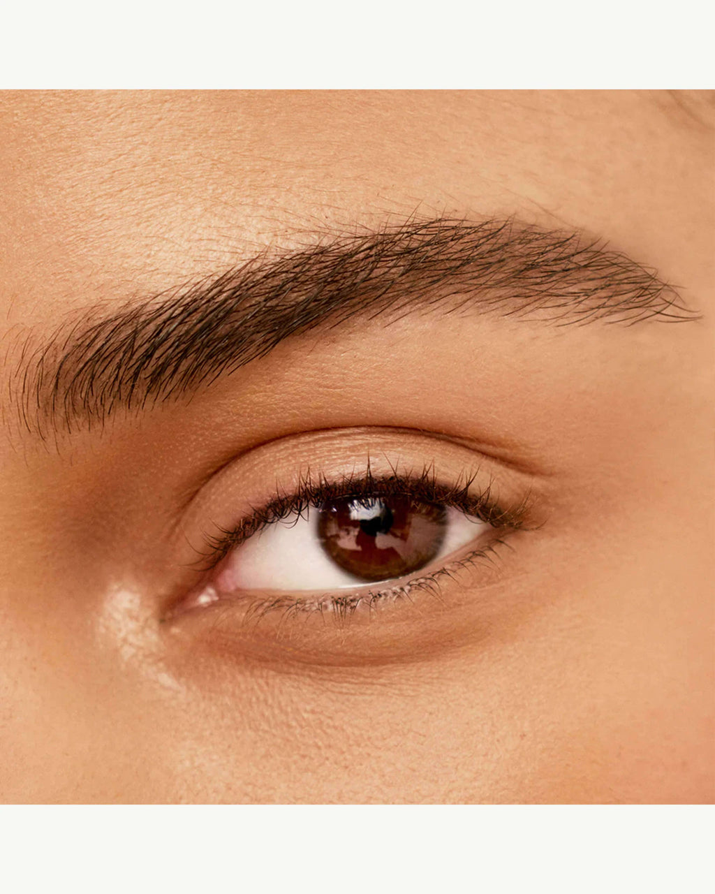 Crayon définisseur de sourcils Bonne