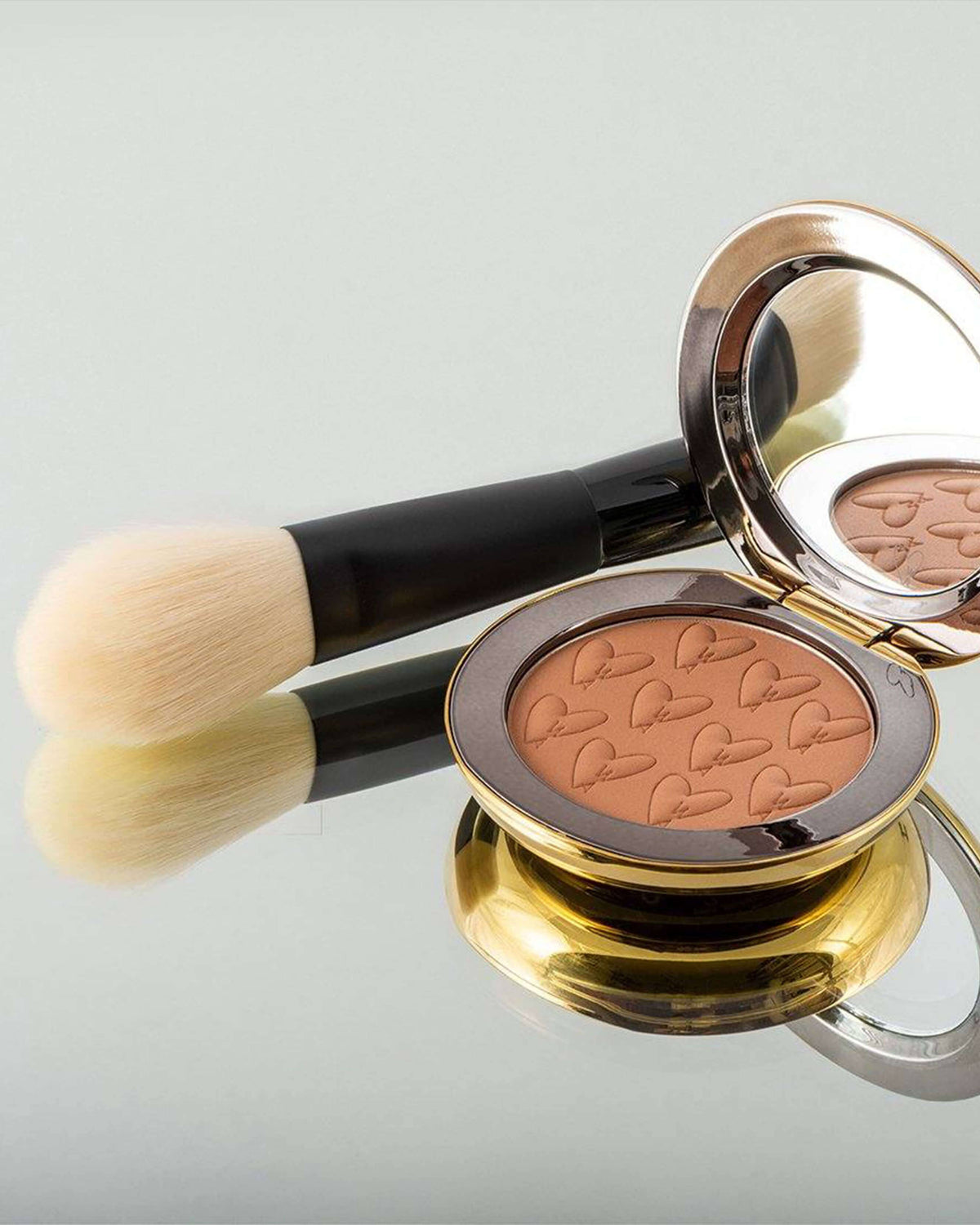 Pinceau à poudre de luxe